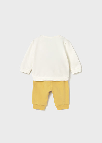 Comp. 2 pezzi Dinosuro - Miele