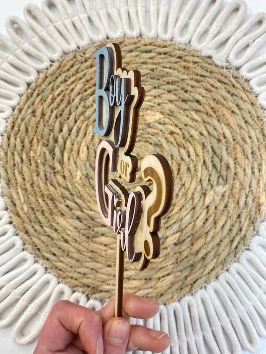 Cake Topper "Boy or Girl" - 3D rosa e azzurro
