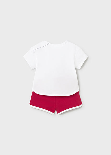 01627-Comp. punto 2 pezzi