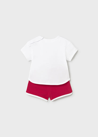 01627-Comp. punto 2 pezzi