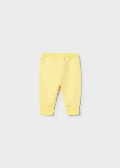 01891-Tuta 3 pezzi body